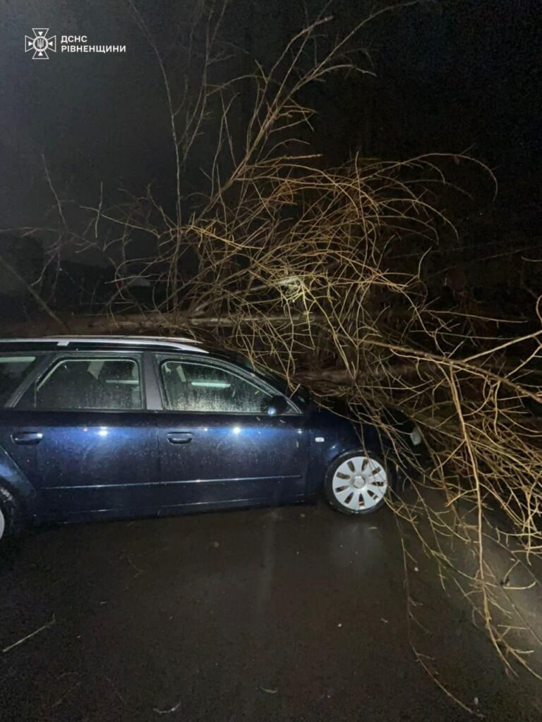1 У Рівному дерево впало на автомобіль: деталі