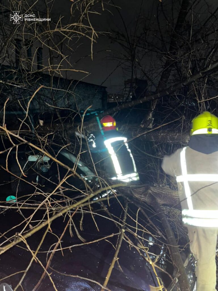 1 У Рівному дерево впало на автомобіль: деталі