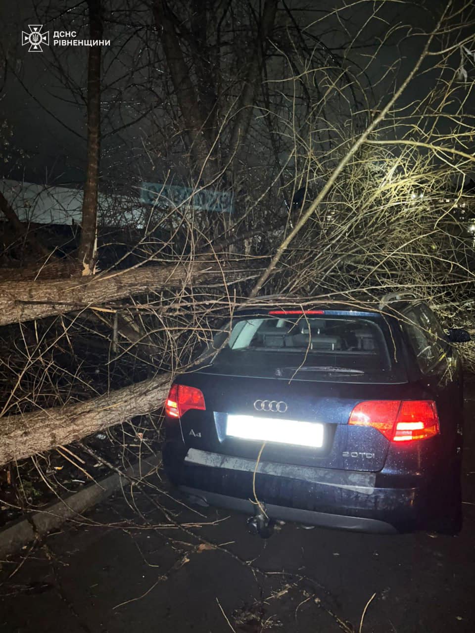 У Рівному дерево впало на автомобіль: деталі 0000