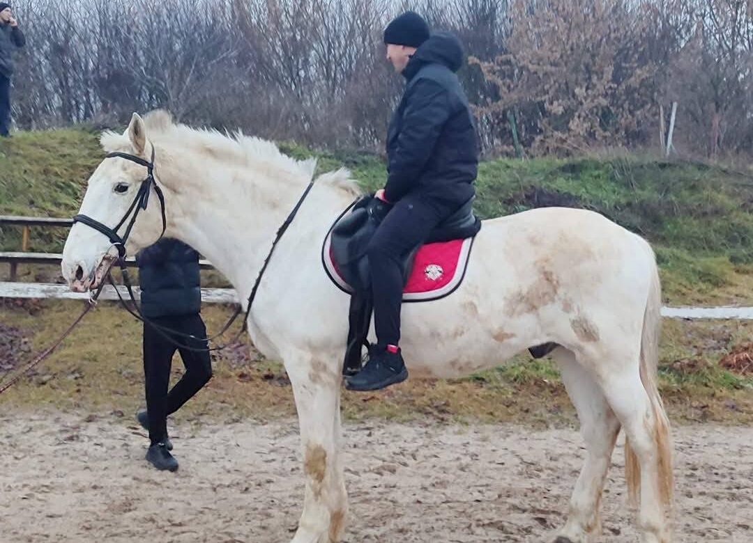 До реабілітації воїнів у Рівному ввели іпотерапію: як проходять заняття