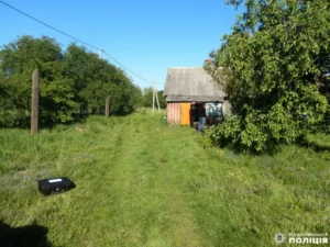 1 Його звинуватили в ухилянстві - він побив до смерті: юнаку на Рівненщині оголосили вирок