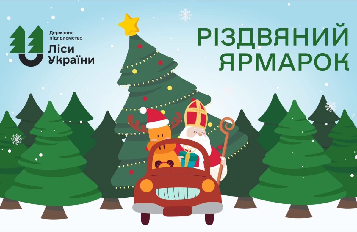 Лісовий офіс на Рівненщині продає ялинки по 300 грн і мед