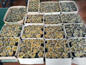 1 5 грудня - День волонтера: як рівненські волонтери допомагають військовим та їх родинам