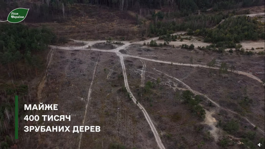 Показали шокуючі результати незаконних рубок у скандально відомому лісі Рівненщини (ВІДЕО) 0000