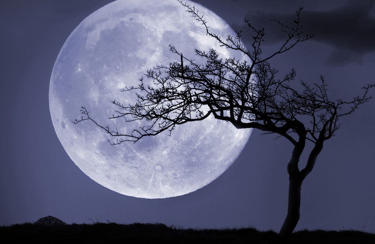 Перша Повня 2025: що робити у «Вовчий» місяць: ритуали та гороскоп для кожного знака