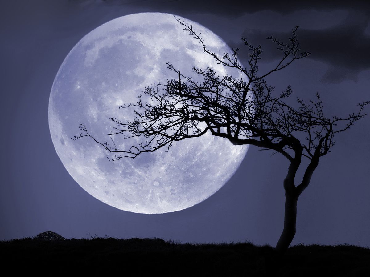 Перша Повня 2025: що робити у «Вовчий» місяць: ритуали та гороскоп для кожного знака 0000