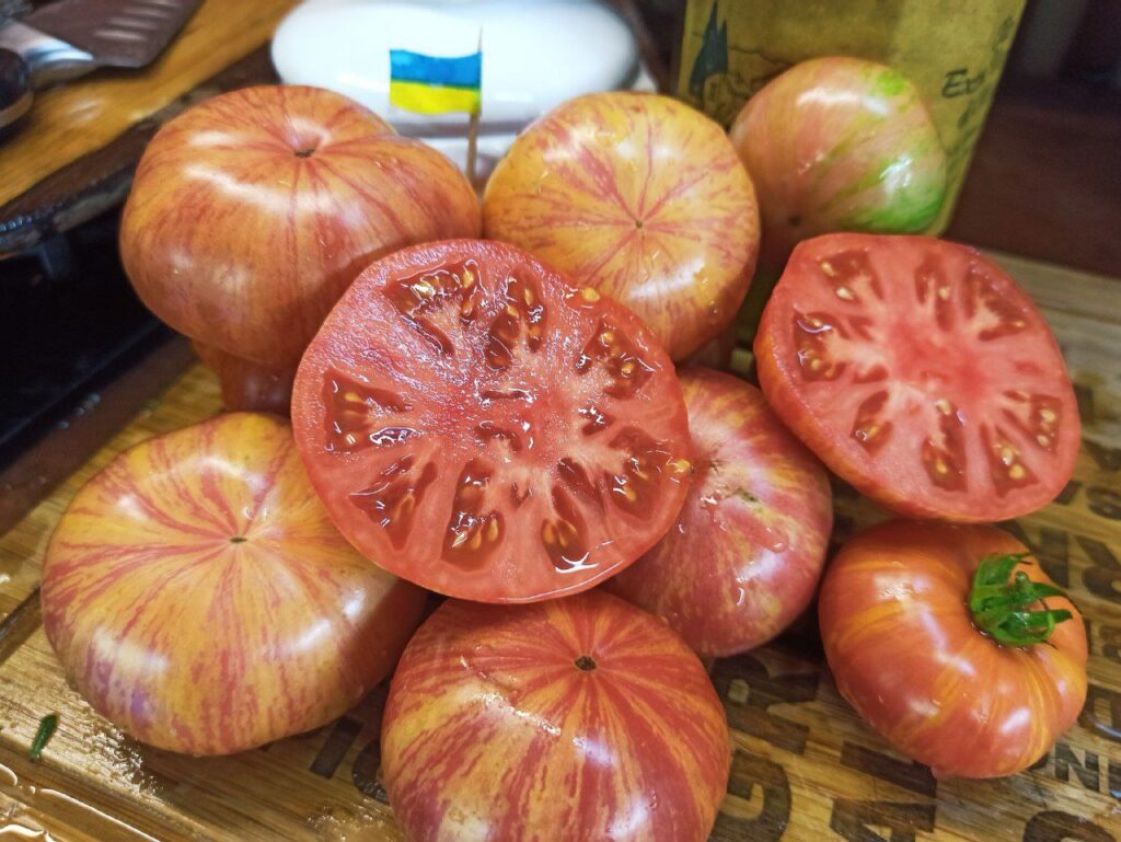 1 Овочева арифметика: коли висівати солодкий перець та томати на розсаду