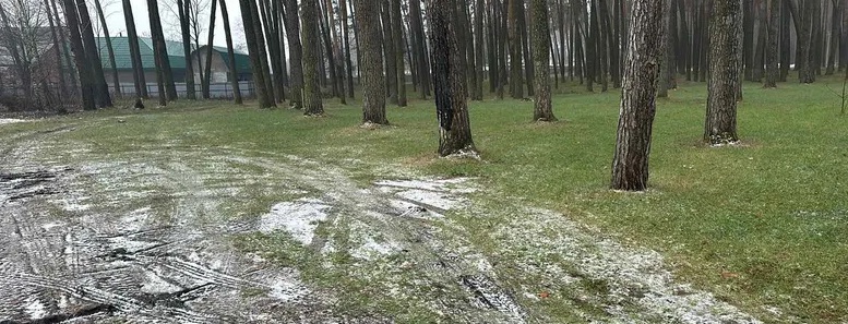 У Смизі чиновники продають землю під бізнес біля лісу 0000