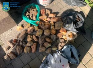 1 Вилучили бурштину на півтора мільйони гривень: судитимуть жителя Рівненщини