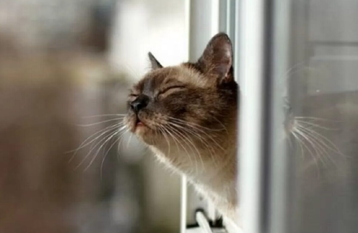 Весна у січні?: Погода у Рівному на 21-24 січня