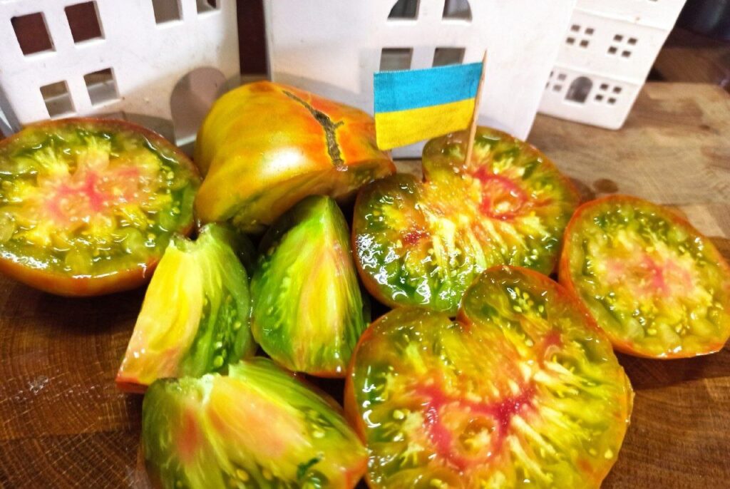 1 Овочева арифметика: коли висівати солодкий перець та томати на розсаду