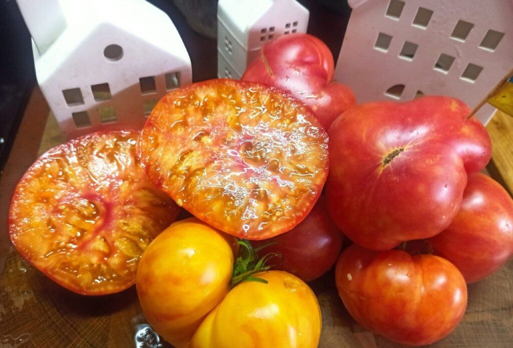 1 Овочева арифметика: коли висівати солодкий перець та томати на розсаду