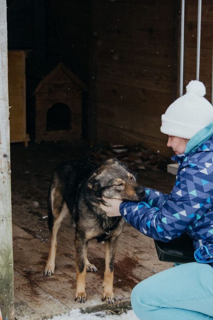 1 Легендарний пес з прифронтової території шукає добрих господарів на Рівненщині