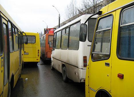 У Рівному проведуть службове розслідування дій водія, який вдарив школяра по обличчю