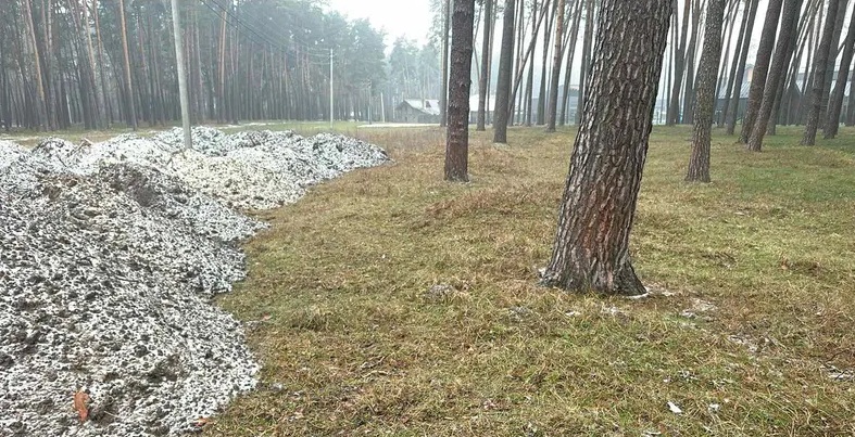 1 У Смизі чиновники продають землю під бізнес біля лісу