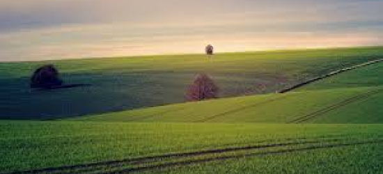 Землю вартістю 12 мільйонів гривень повернули у власність громади на Рівненщині