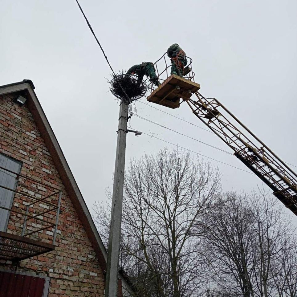 На Рівненщині енергетики встановили нову майбутню домівку для лелек 0000