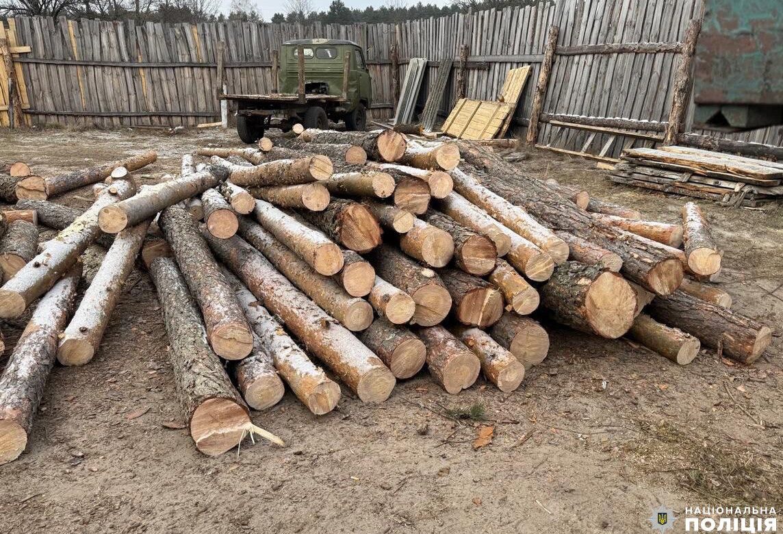 Поліцейські Рівненщини зловили «чорних лісорубів»