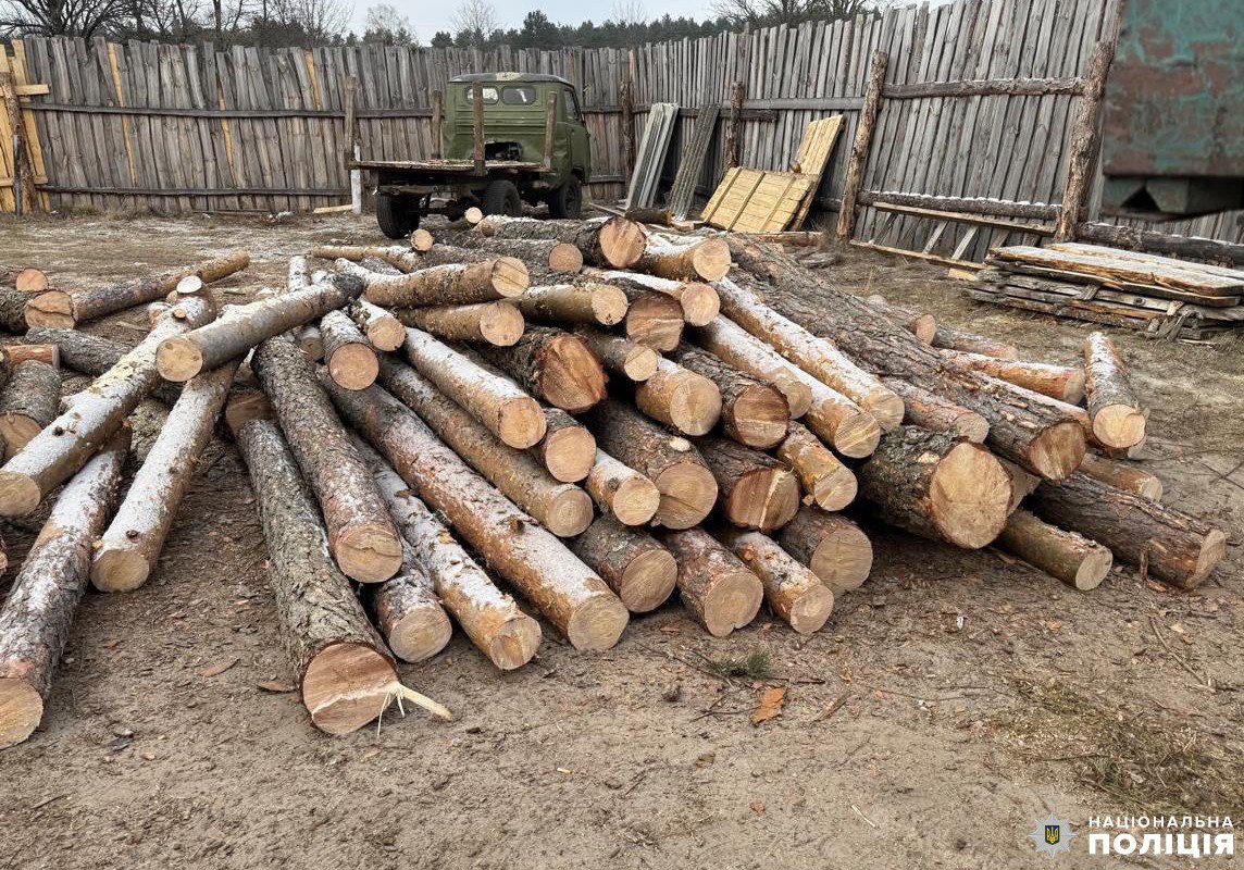 Поліцейські Рівненщини зловили «чорних лісорубів» 0000