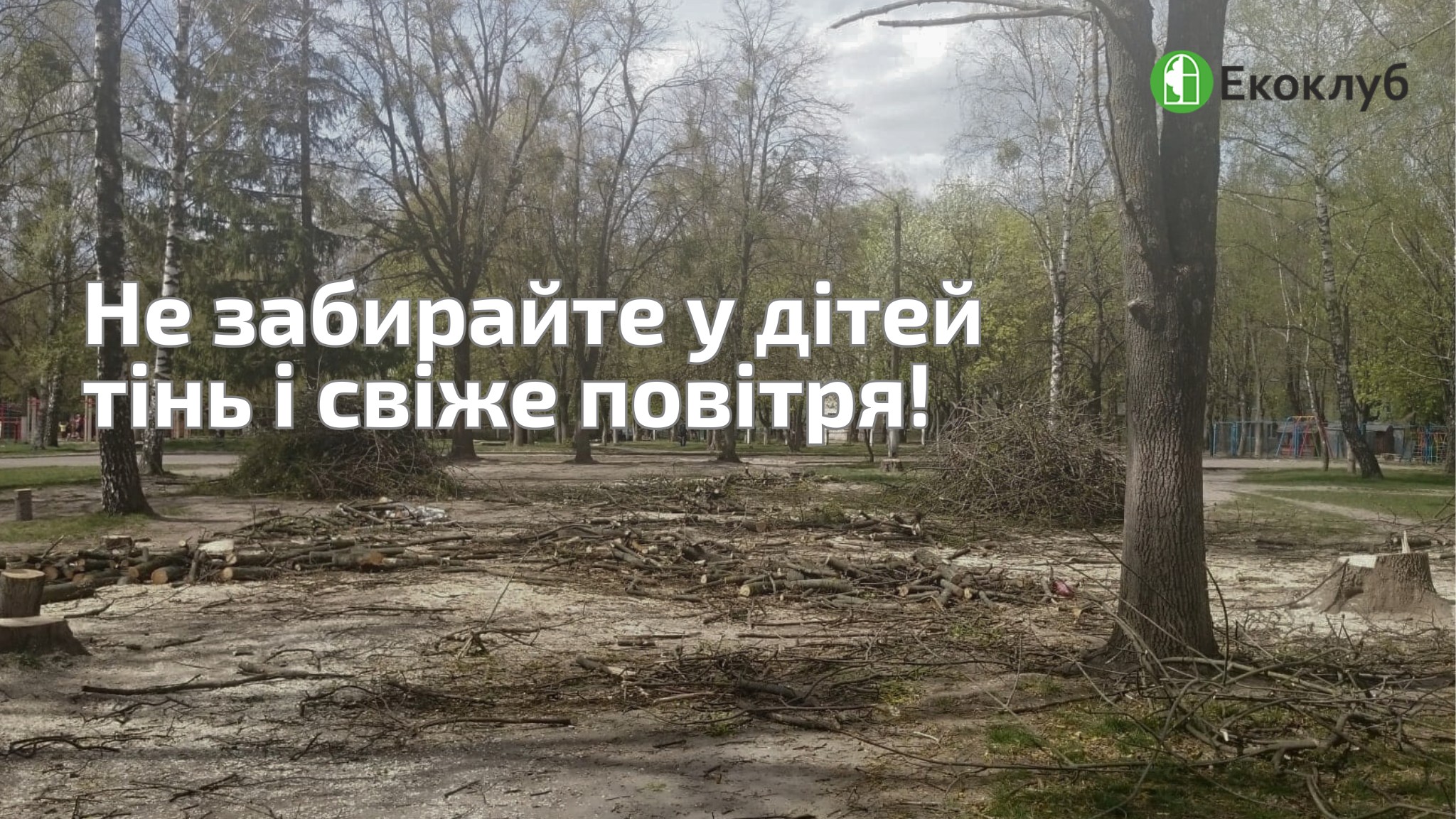 Екологи б’ють на сполох через зрізання дерев біля рівненського ліцею 0000