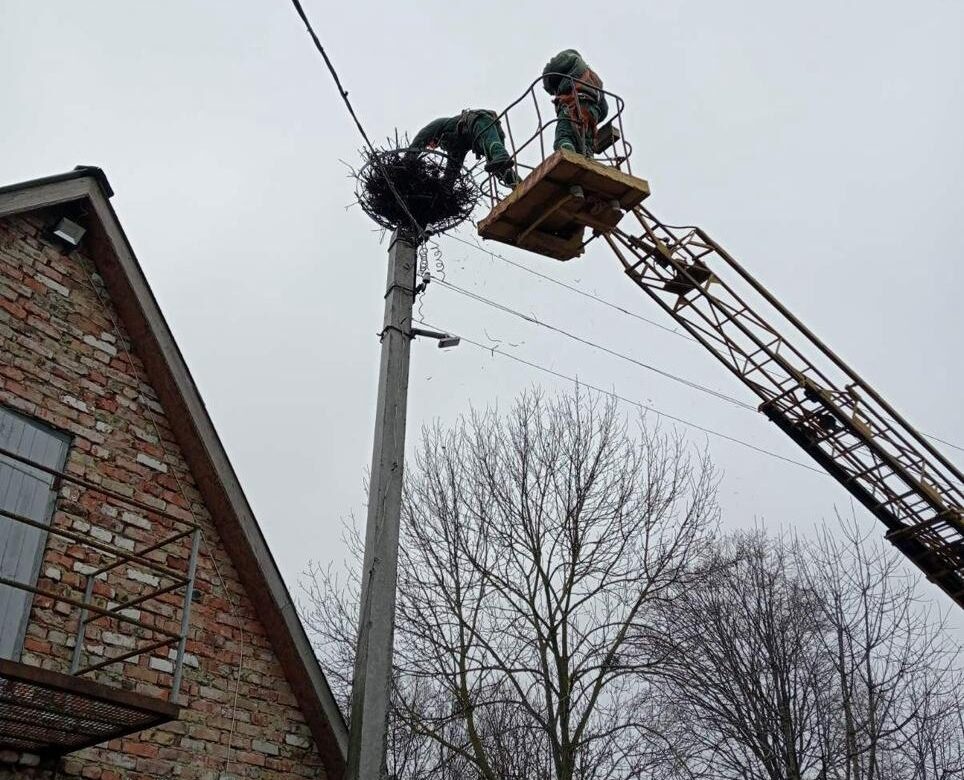 На Рівненщині енергетики встановили нову майбутню домівку для лелек