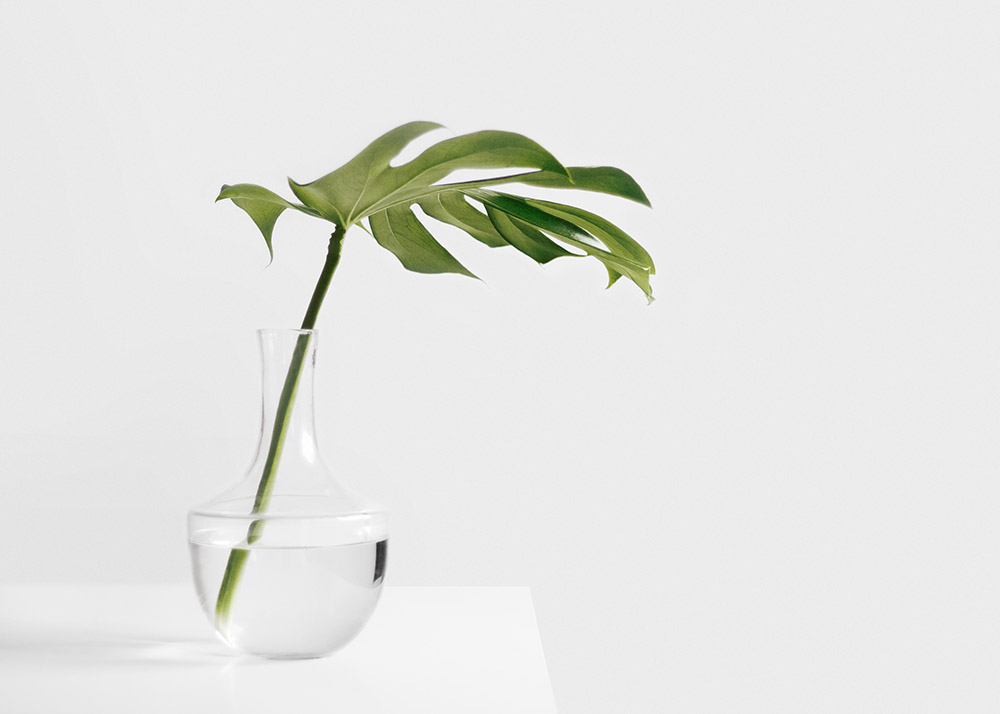 Мода на мінімалізм: як позбутися зайвих речей і не стати бідним?