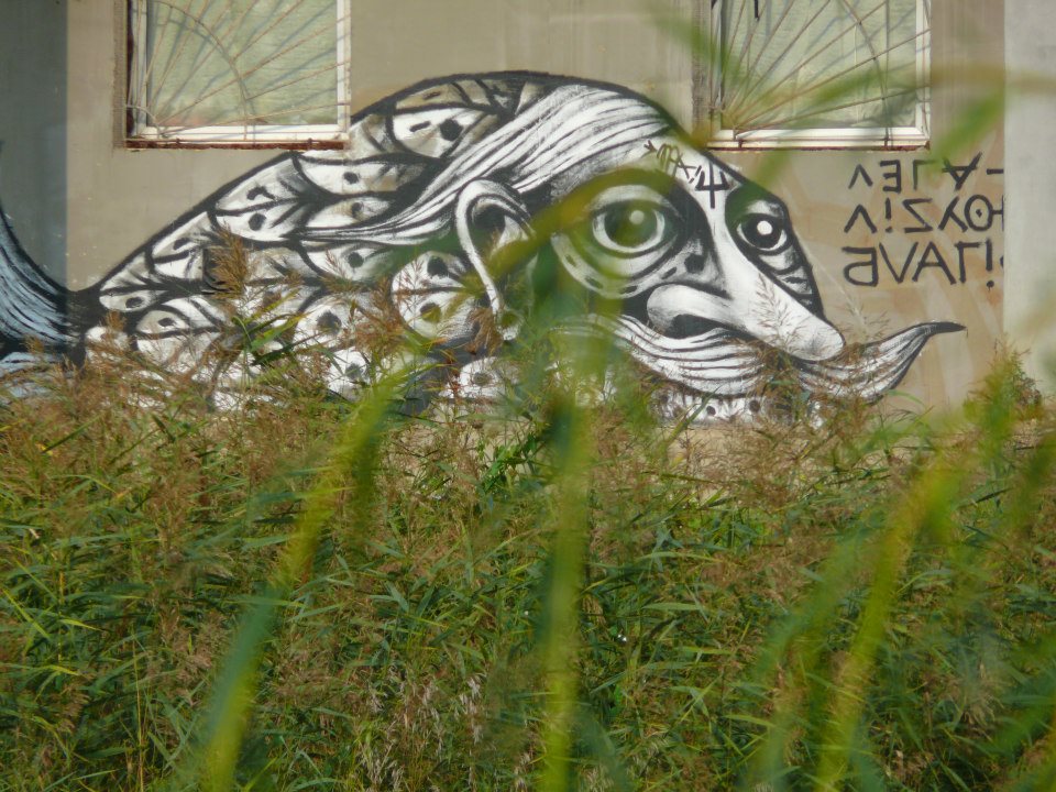 1 У Рівному планують створити колекцію графіті (ФОТО)