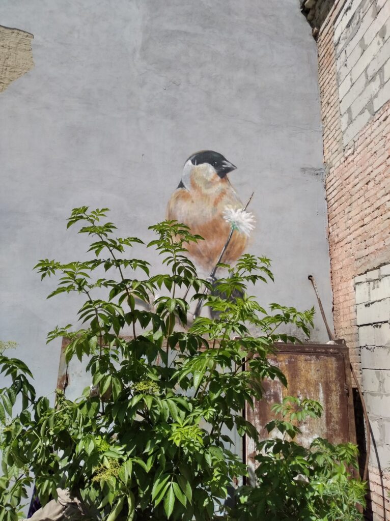 1 У Рівному планують створити колекцію графіті (ФОТО)