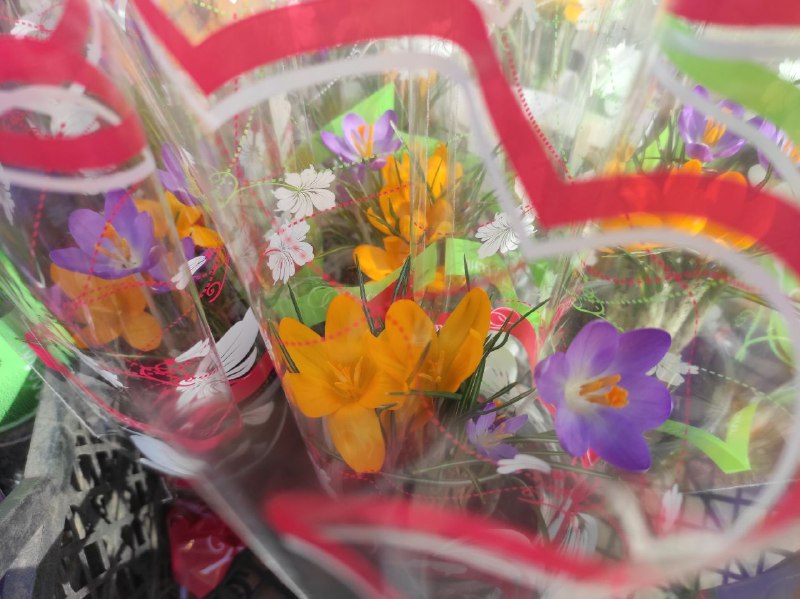 1 Скільки коштують весняні квіти на ринках Рівненщини напередодні 8 березня