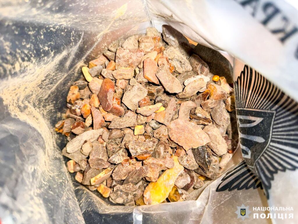 1 Поліцейські Рівненщини затримали нелегальних бурштинокопачів