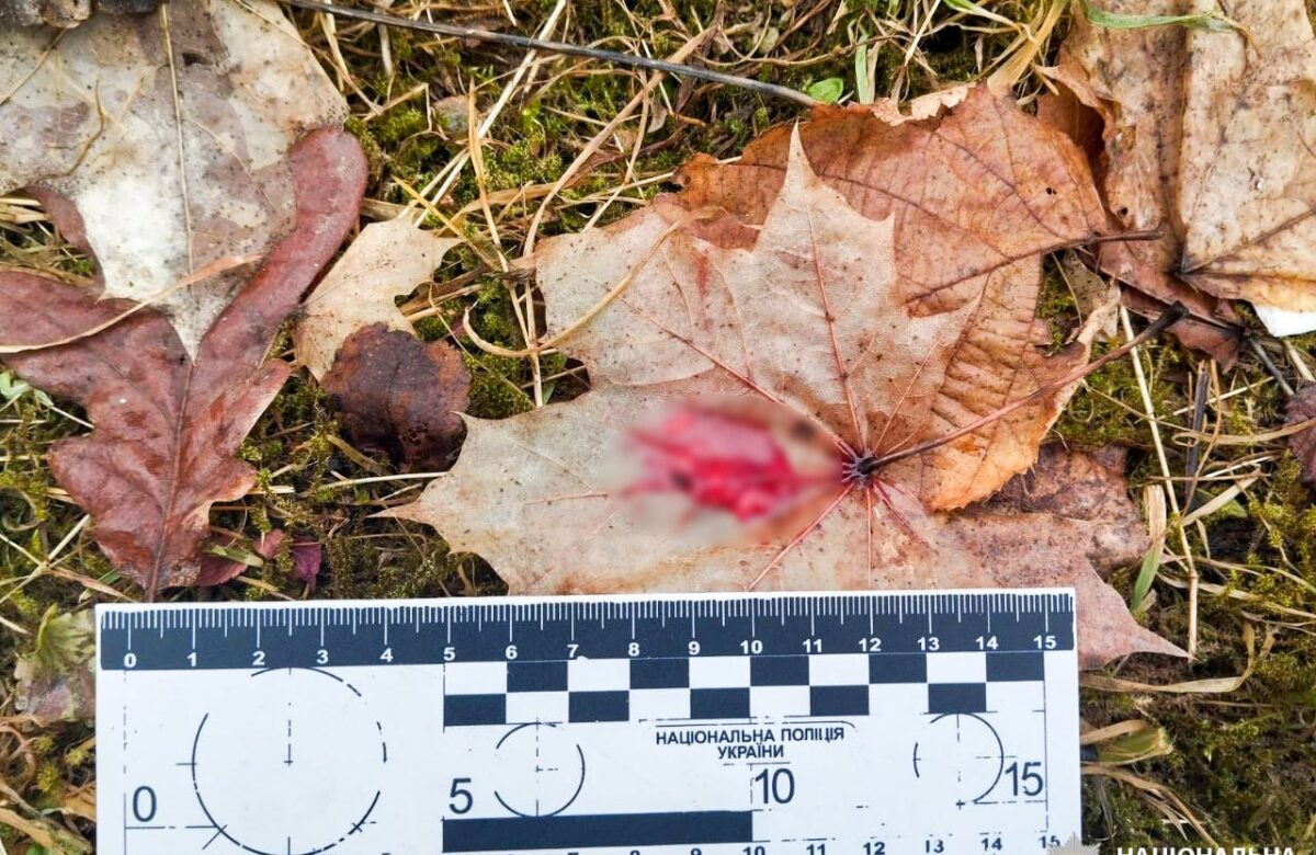 До смерті побив знайомого: жителю Рівненщини загрожує до 10 років тюрми