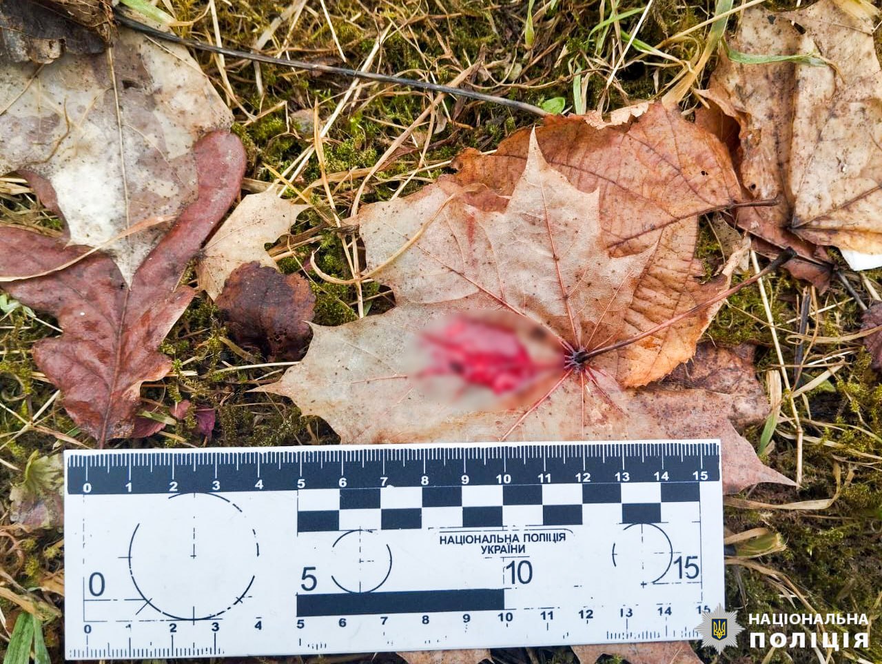 До смерті побив знайомого: жителю Рівненщини загрожує до 10 років тюрми 0000