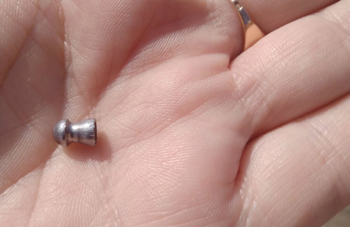 У Квасилові з пневматичної зброї стріляли у дитину