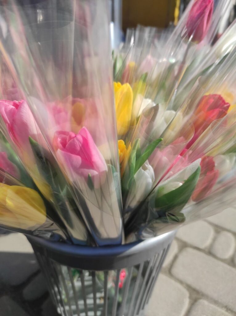 1 Скільки коштують весняні квіти на ринках Рівненщини напередодні 8 березня