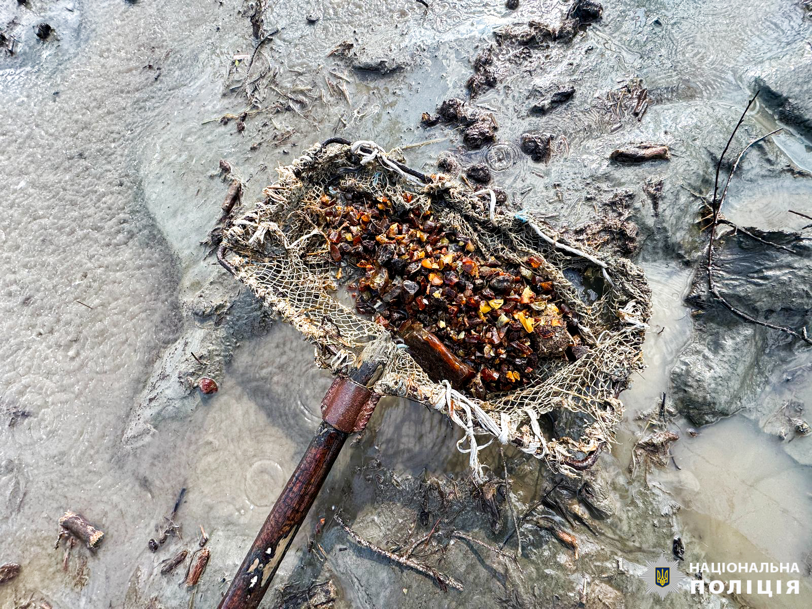 1 На Рівненщині поліцейські викрили незаконний видобуток бурштину