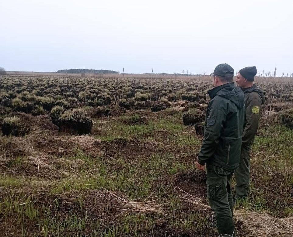 На Рівненщині виявили згарище площею 17 гектарів