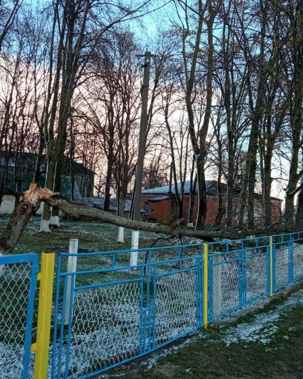 Через негоду на Рівненщині без світла залишилося ціле село