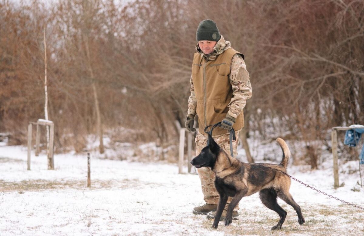 Нацгвардієць-кінолог з Рівного розповів, як навчають собак нести службу (ФОТО, ВІДЕО)