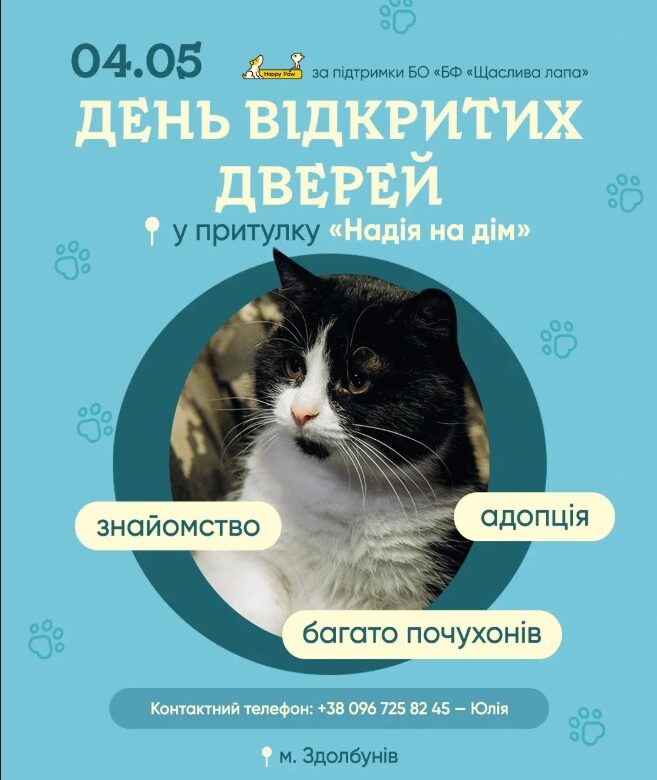 Здолбунівський притулок для тварин запрошує на День відкритих дверей