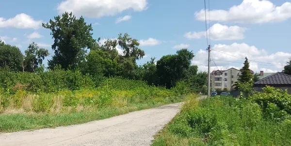 Міська рада Рівного з молотка продає дві земельні ділянки на Щасливому