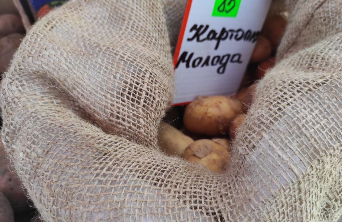 На ринках Рівненщини з’явилася молода картопля: скільки коштує найпопулярніший овоч