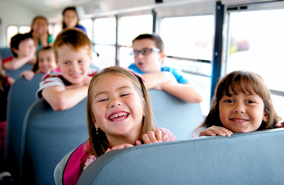 Безкоштовний проїзд до зоопарку в Рівному: святкова акція до Дня захисту дітей