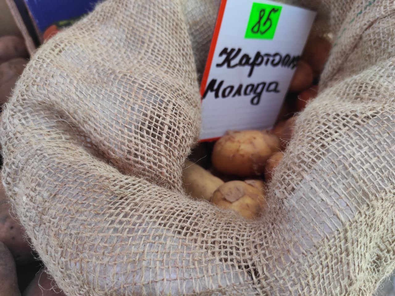 На ринках Рівненщини з’явилася молода картопля: скільки коштує найпопулярніший овоч 0000