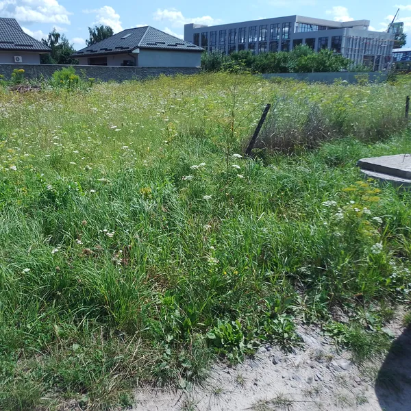 1 Міська рада Рівного з молотка продає дві земельні ділянки на Щасливому