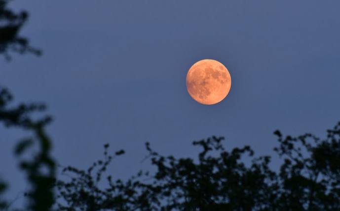 Які сюрпризи знакам зодіаку готує Полунична повня