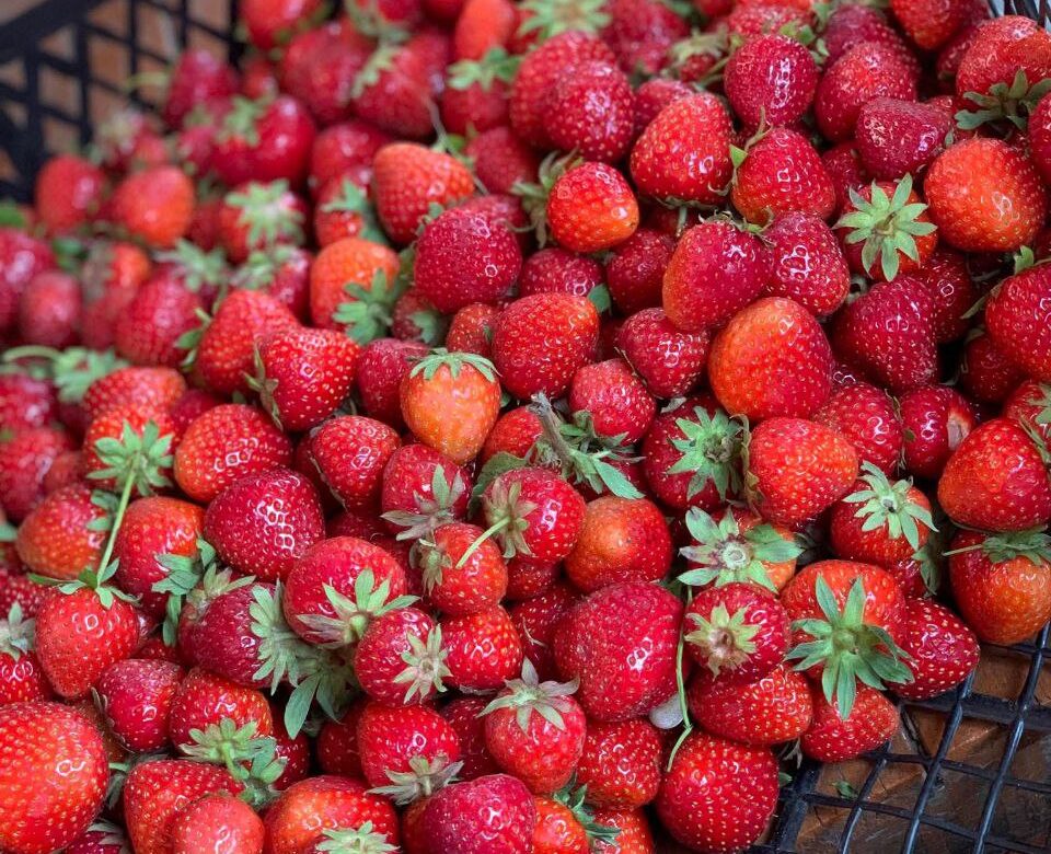 Скільки коштує домашня полуниця на ринку в місті на Рівненщині