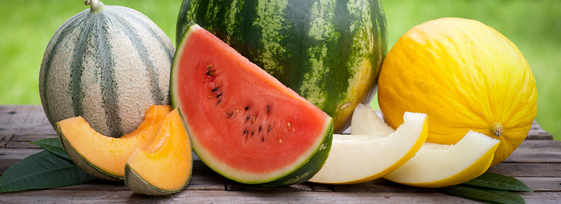 Посадка кавунів і динь у червні: секрети рясного врожаю