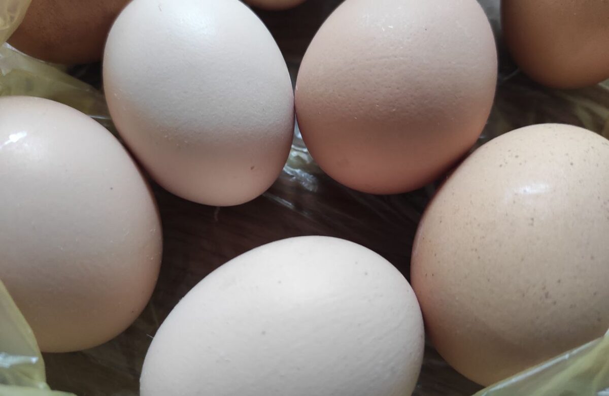 Скільки коштують домашні курячі яйця на ринку на Рівненщині