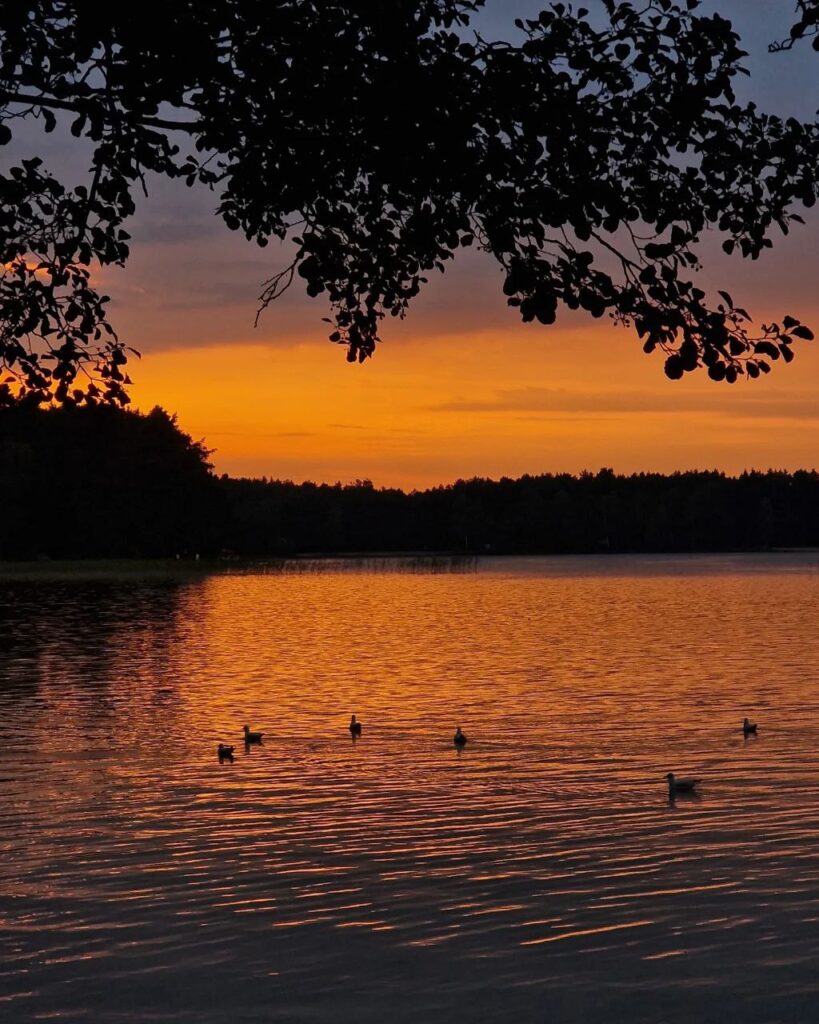 1 Куди поїхати відпочити на Рівненщині і поряд з нею літом (ЦІНИ 2025)