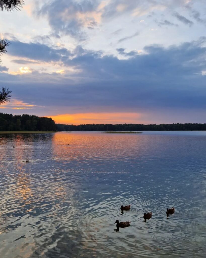 1 Куди поїхати відпочити на Рівненщині і поряд з нею літом (ЦІНИ 2025)